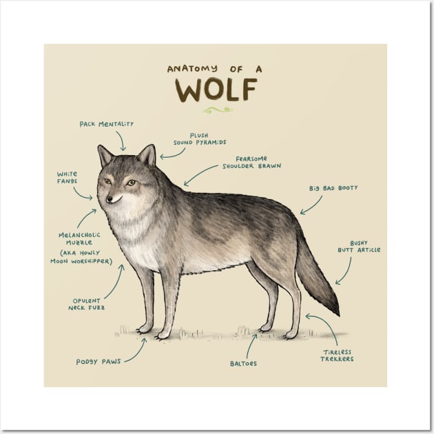 Anatomy of a Wolf Wall Art by Sophie Corrigan